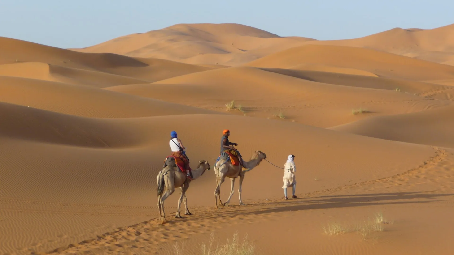 The Sahara dunes near Merzouga, Morocco — sweeping sand ridges with camels at the base, a landscape tied to mobility and fieldwork.
