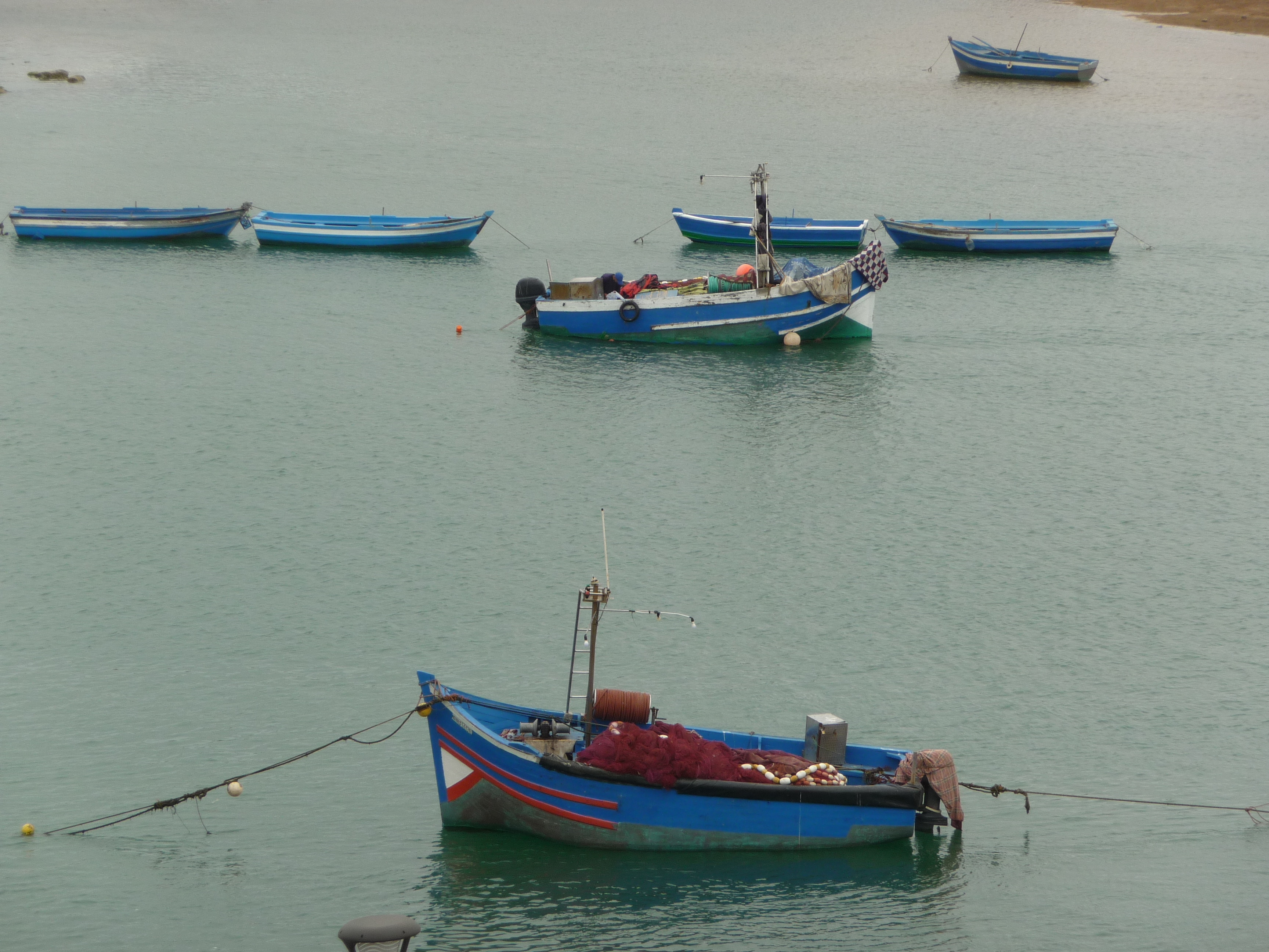Blue fishing boats moored in the Atlantic harbor at Essaouira, Morocco.